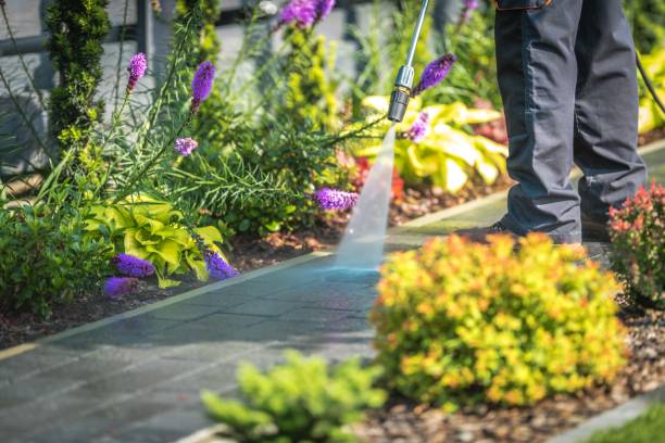 Best Fence Cleaning  in Dunkirk, MD